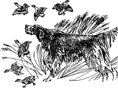 Детская библиотека. Том 8 - i_111.jpg