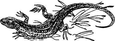 Детская библиотека. Том 8 - i_112.jpg