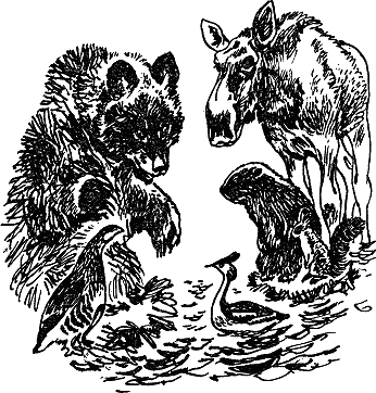 Детская библиотека. Том 8 - i_113.jpg