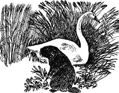 Детская библиотека. Том 8 - i_114.jpg