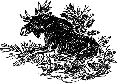 Детская библиотека. Том 8 - i_115.jpg