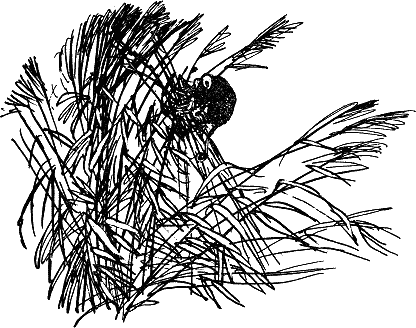 Детская библиотека. Том 8 - i_117.jpg