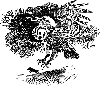 Детская библиотека. Том 8 - i_118.jpg