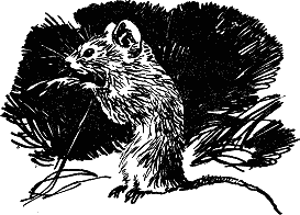 Детская библиотека. Том 8 - i_119.jpg