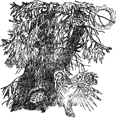 Детская библиотека. Том 8 - i_120.jpg