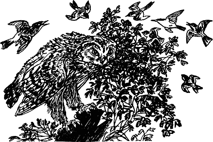 Детская библиотека. Том 8 - i_121.jpg