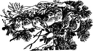 Детская библиотека. Том 8 - i_122.jpg