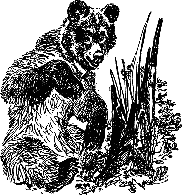 Детская библиотека. Том 8 - i_123.jpg