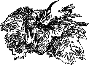 Детская библиотека. Том 8 - i_127.jpg