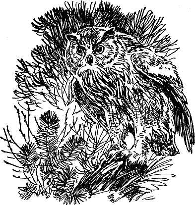 Детская библиотека. Том 8 - i_128.jpg