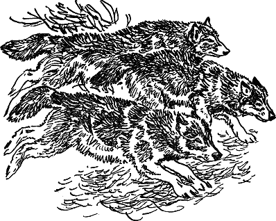 Детская библиотека. Том 8 - i_129.jpg