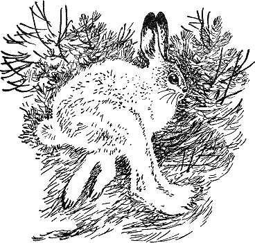 Детская библиотека. Том 8 - i_131.jpg