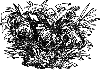 Детская библиотека. Том 8 - i_134.jpg