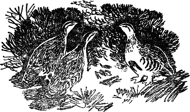 Детская библиотека. Том 8 - i_135.jpg