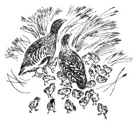 Детская библиотека. Том 8 - i_136.png