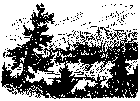 Зелёная кобылка (худ. Б. Шахов, В. Панов) - i_002.png