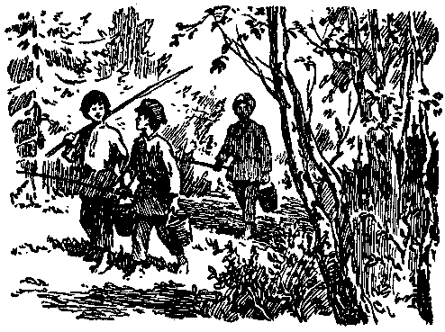 Зелёная кобылка (худ. Б. Шахов, В. Панов) - i_003.png