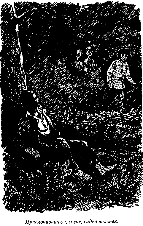 Зелёная кобылка (худ. Б. Шахов, В. Панов) - i_004.png