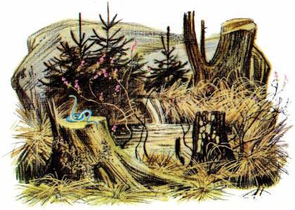 Голубая змейка (худ. С. Бордюг) - _016.jpg