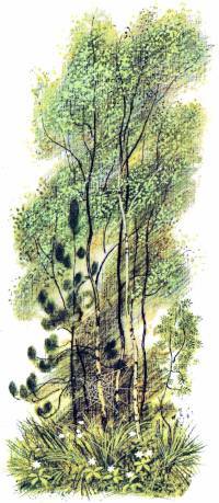 Голубая змейка (худ. С. Бордюг) - _019.jpg