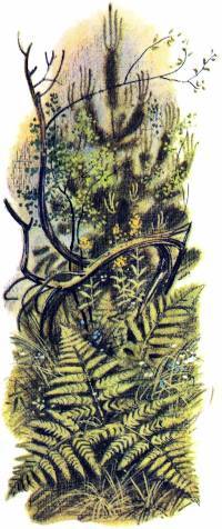 Голубая змейка (худ. С. Бордюг) - _021.jpg