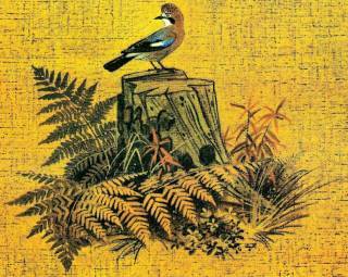 Голубая змейка (худ. С. Бордюг) - _028.jpg