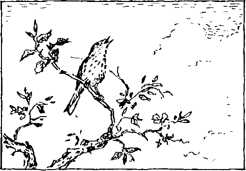 Золотая рыбка - i_003.png