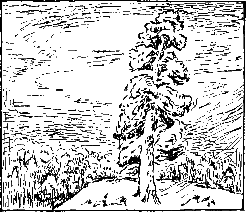 Золотая рыбка - i_005.png