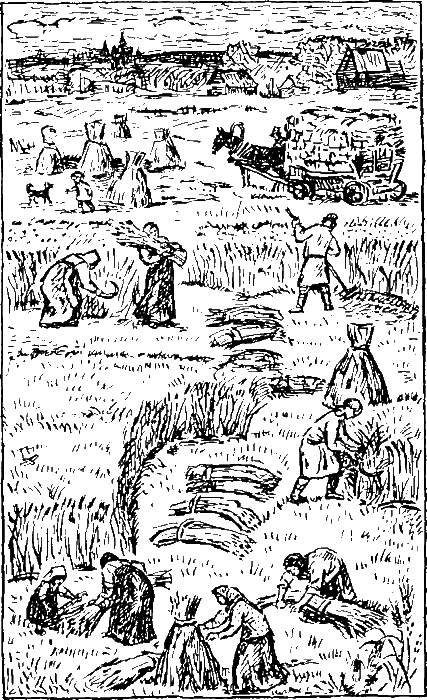 Золотая рыбка - i_006.png