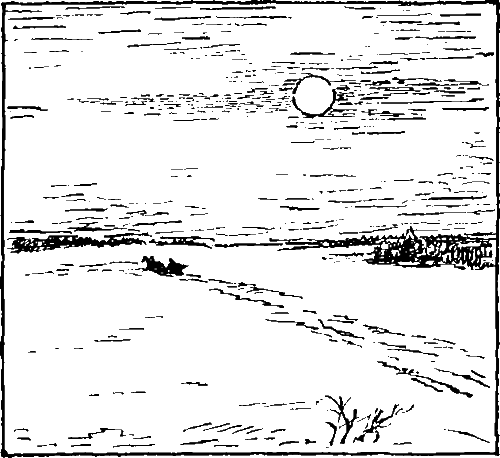 Золотая рыбка - i_011.png