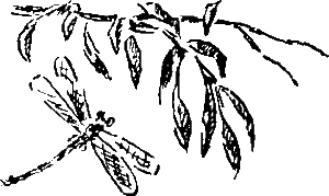 Золотая рыбка - i_013.png