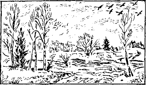Золотая рыбка - i_015.png