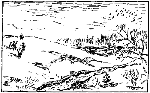 Золотая рыбка - i_019.png