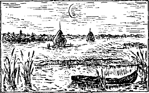 Золотая рыбка - i_020.png