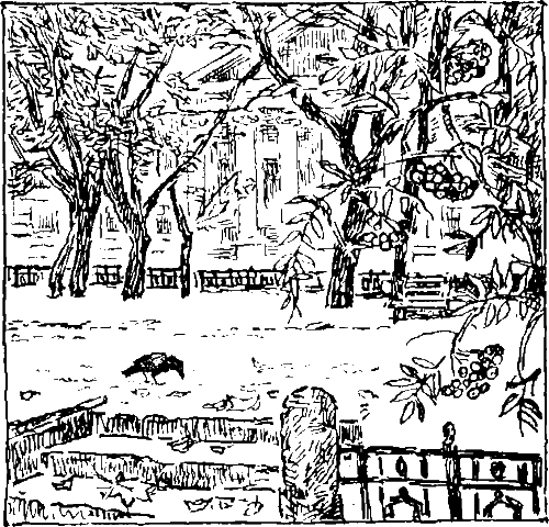 Золотая рыбка - i_021.png