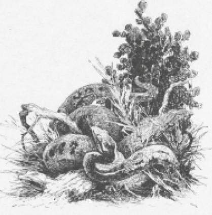 Динамитчик. Самые новые арабские ночи принца Флоризеля - i_033.jpg