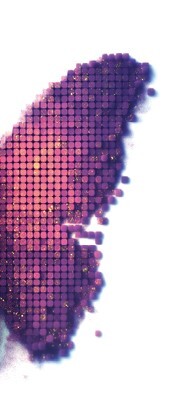 Deepfake. Где ты? Проснись! - i_010.jpg