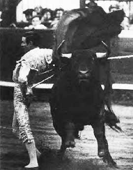 Учебник вымогателя, или Искусство владения навахой, ножом и цыганскими ножницами - _245.jpg