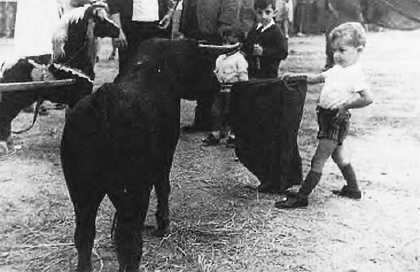 Учебник вымогателя, или Искусство владения навахой, ножом и цыганскими ножницами - _337.jpg