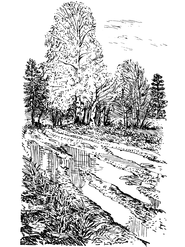 Третья охота. Григоровы острова. Трава - i_002.png