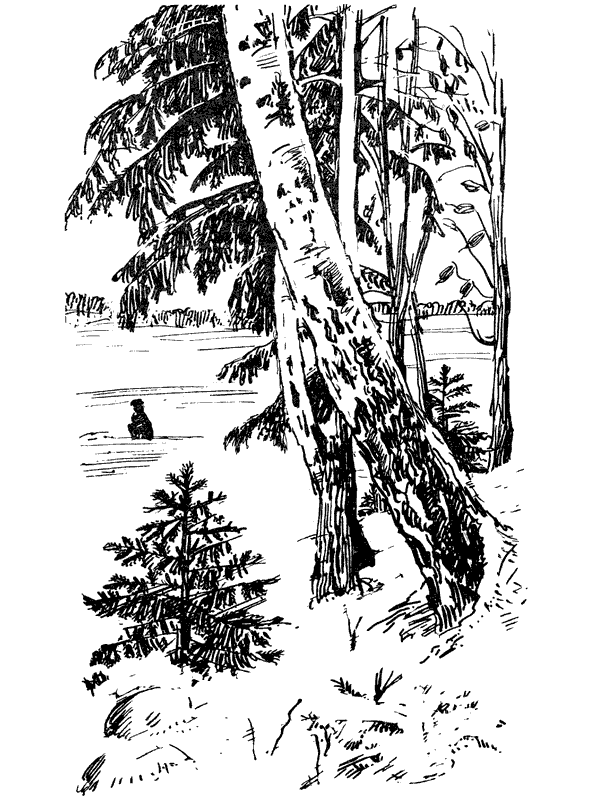 Третья охота. Григоровы острова. Трава - i_015.png