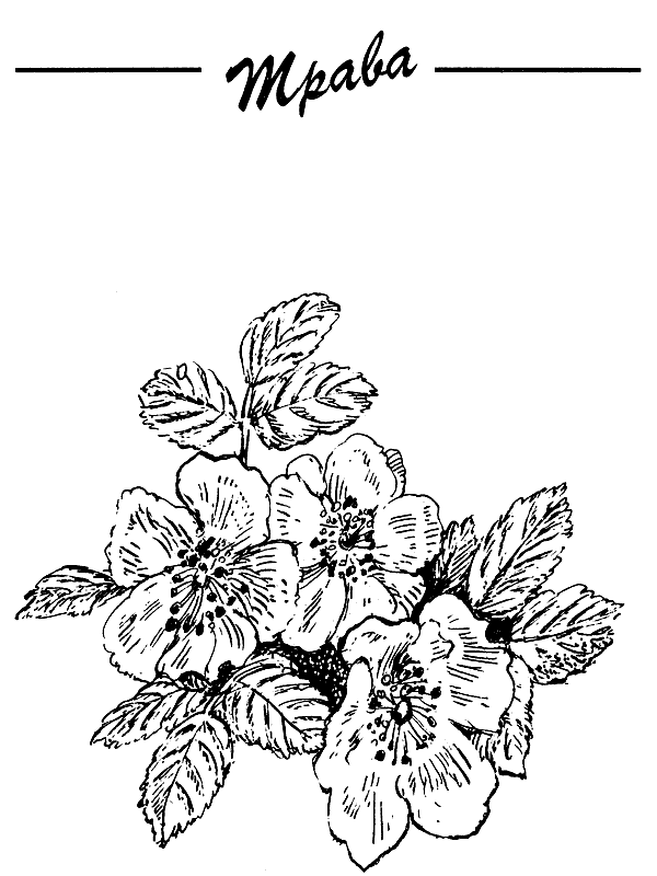 Третья охота. Григоровы острова. Трава - i_019.png