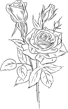 Я знаю пять имён девочек… Полина и Варя - i_002.png