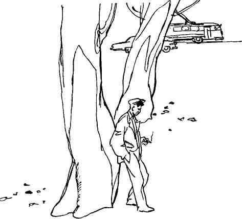 Высокие тополя - img_11.jpeg