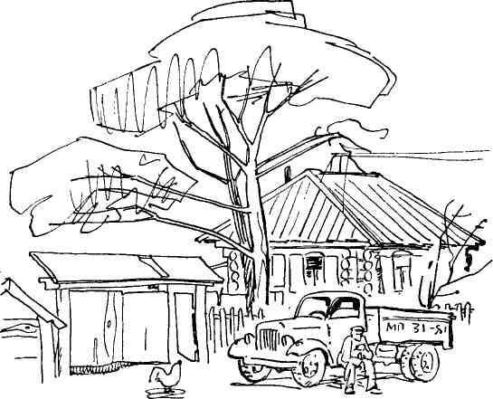 Высокие тополя - img_2.jpeg