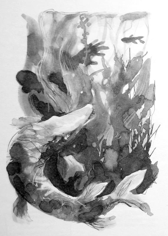 Щука - i_003.jpg