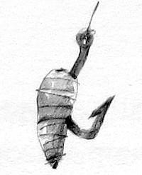 Щука - i_010.jpg