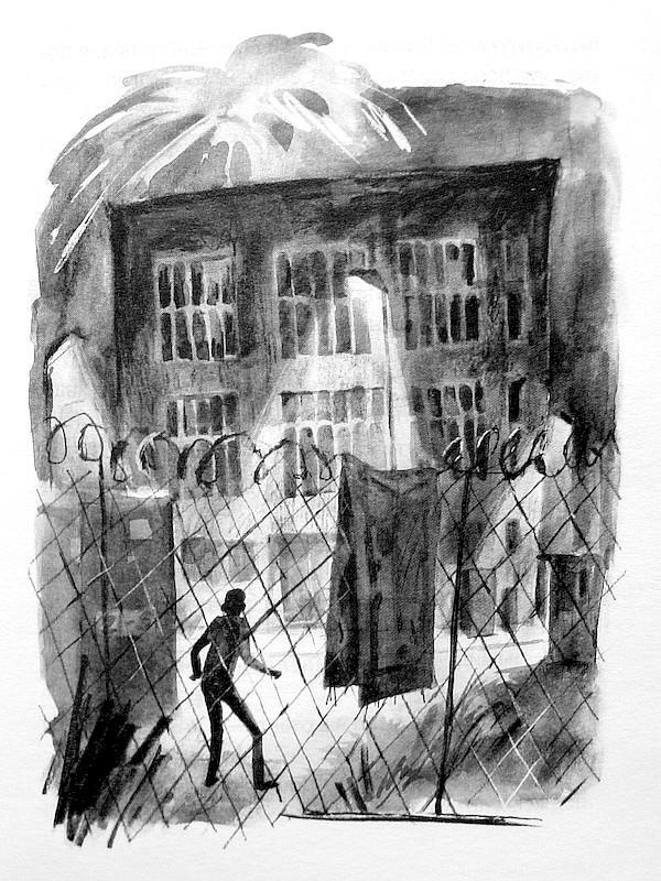 Щука - i_017.jpg