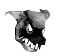 Щука - i_018.jpg