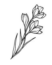 Отцы и дочери. Как отношения с отцом влияют на женщин и их жизненные сценарии - i_003.jpg